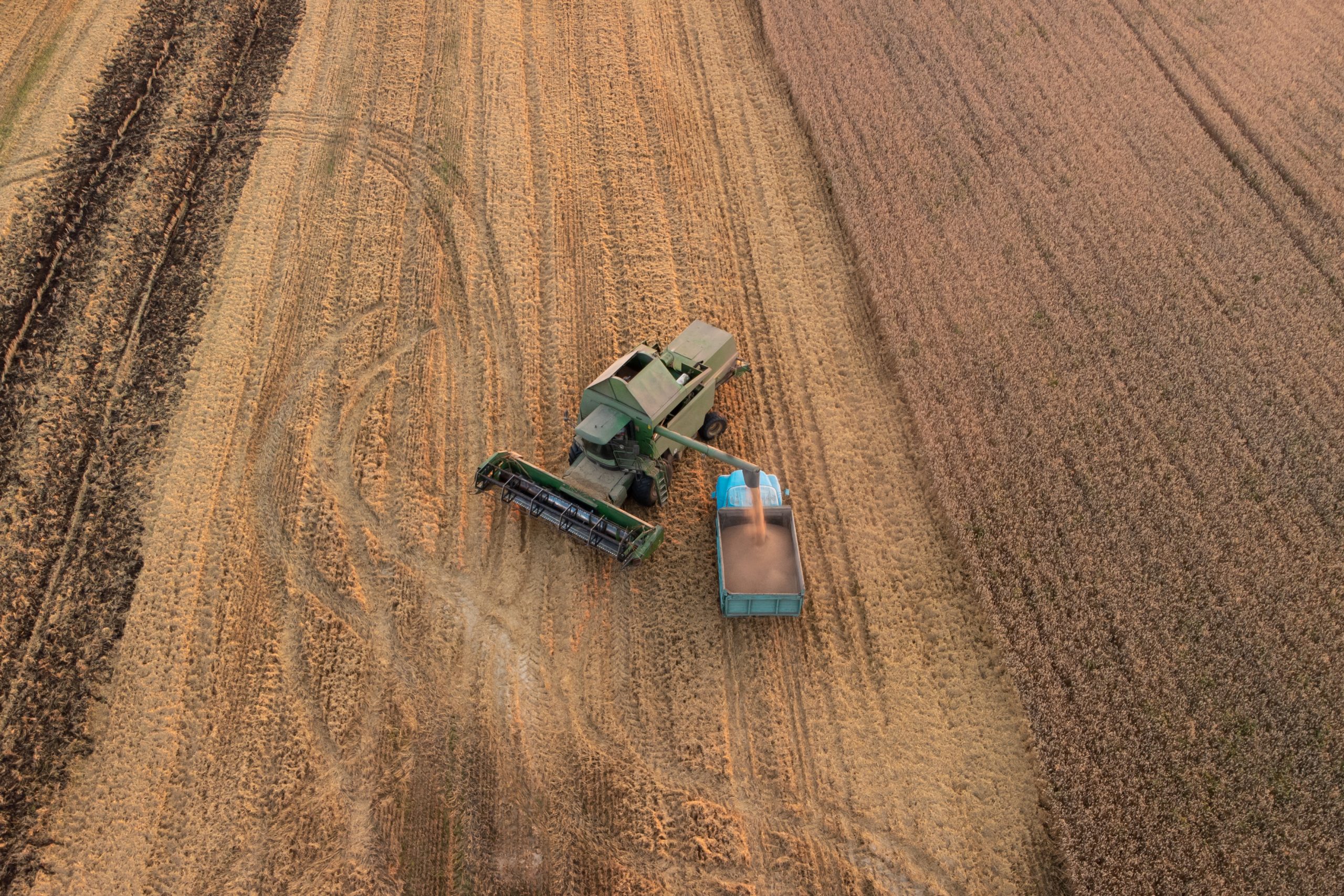 evolutia-agriculturii-irigatii-mecarul-blog