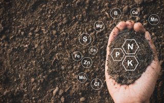 ingrasamantul-organic-mecarul