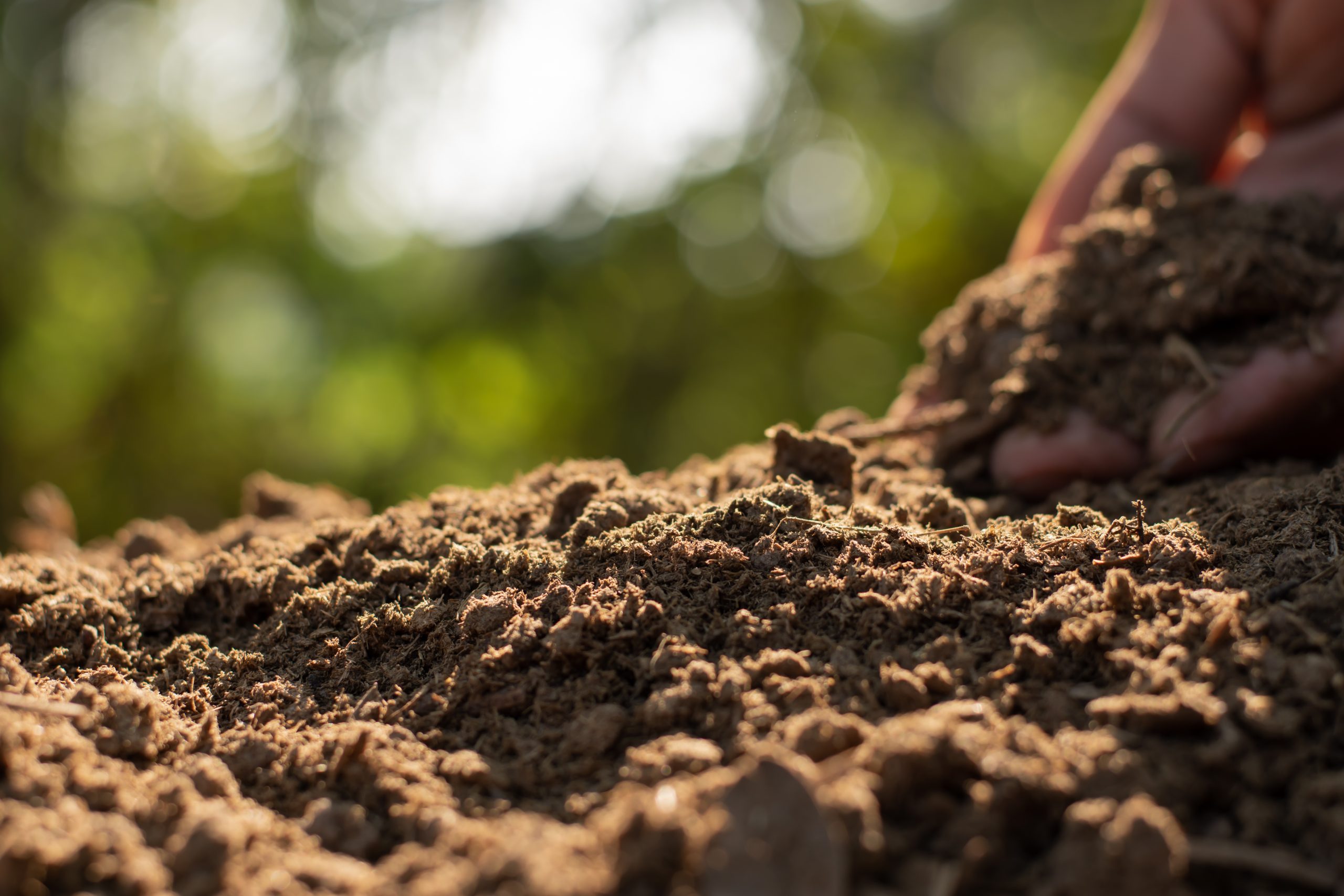 ingrasamantul-organic-mecarul