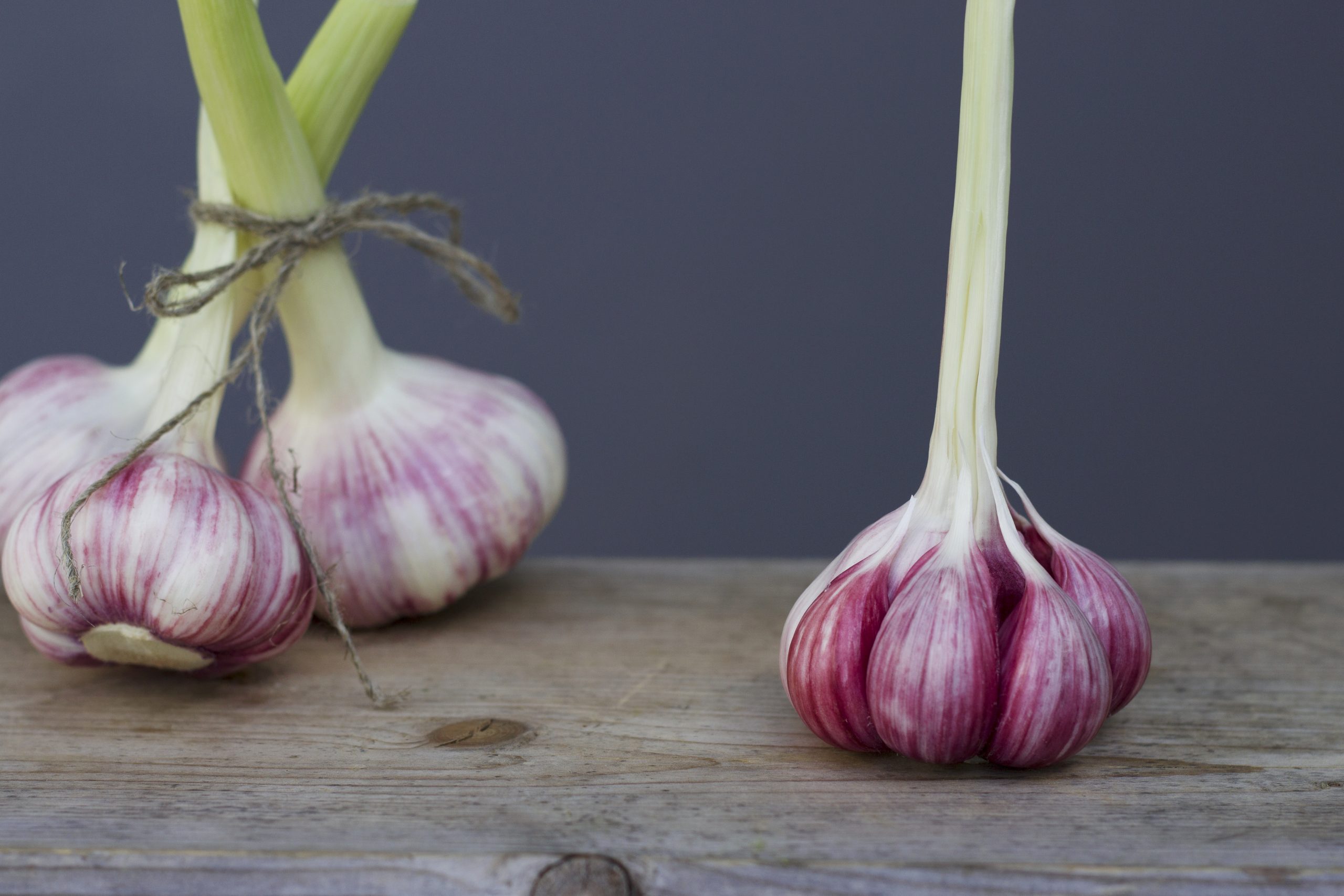  cultura-de-usturoi-informatii-utile-meca-rul1