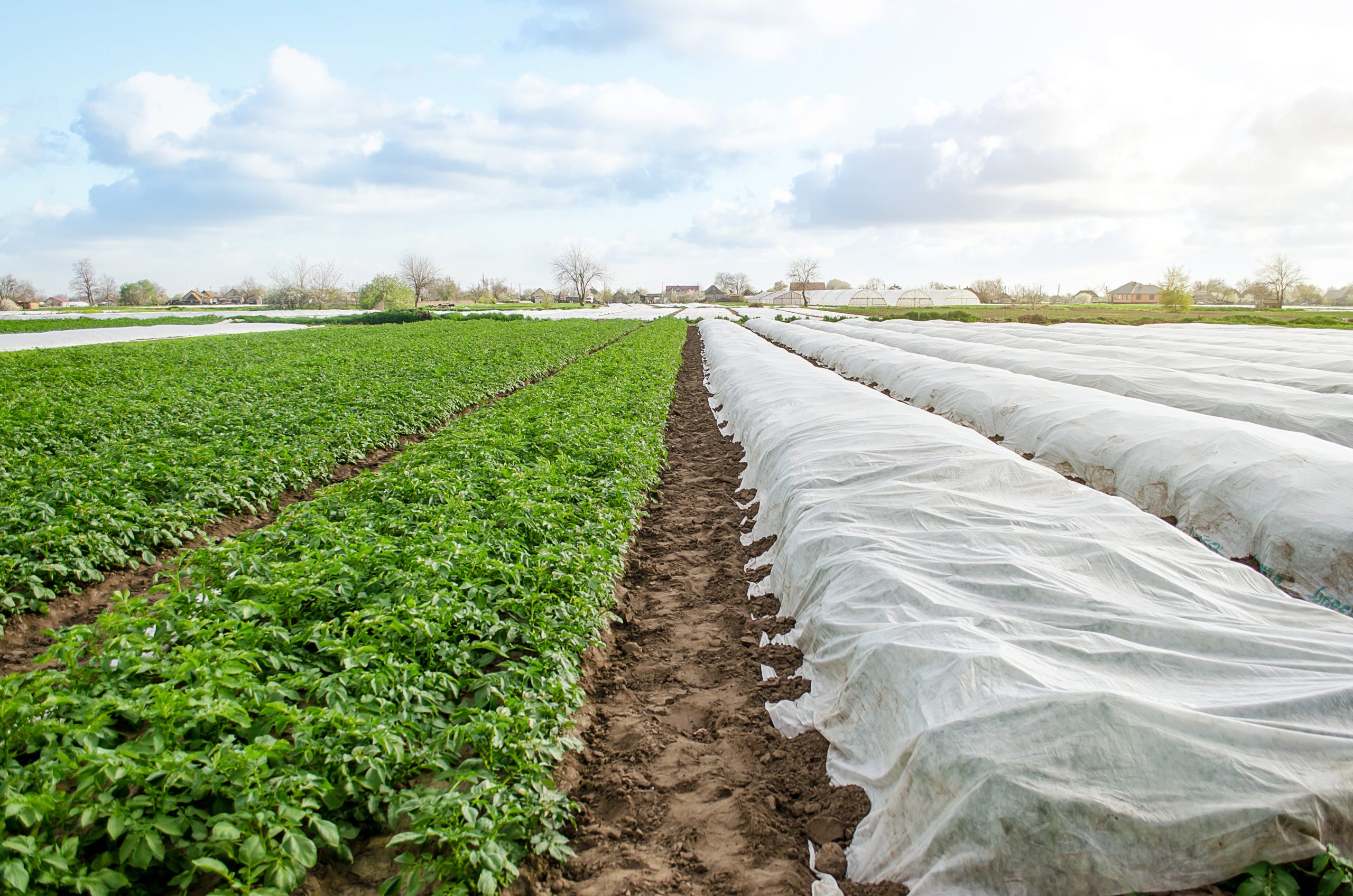 Rotatia culturilor – De ce este benefica si cum se realizeaza