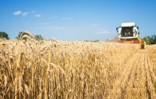 Utilaje agricole de care orice fermier are nevoie